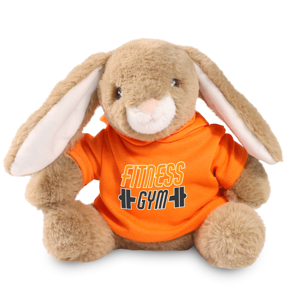 Coloured Hoody Bears